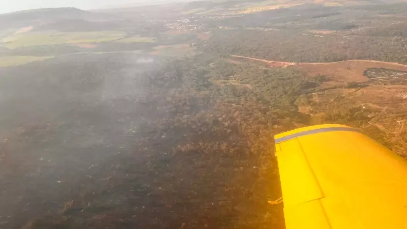 Fogo Devasta Estação Ecológica em São Simão: Área Equivalente a 600 Campos de Futebol é Consumida pelas Chamas