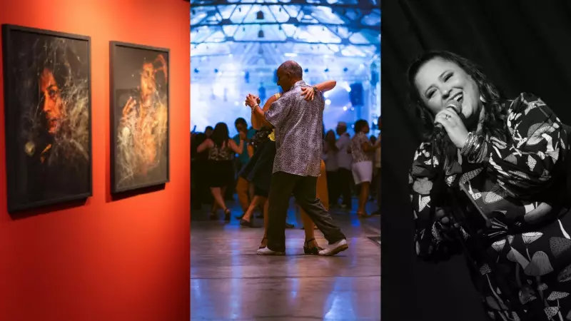 Forró, arte e tributo a Marisa Monte agitam Fortaleza neste fim de semana