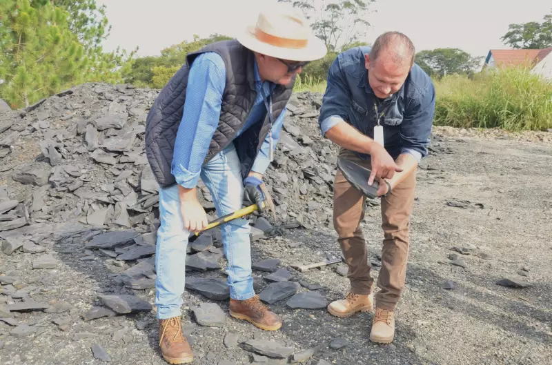 Fósseis raros de mesossauros são descobertos em Irati por pesquisadores da Unicentro