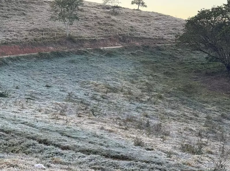 Frio congela Monte Verde: cidade registra a temperatura mais baixa de MG nesta segunda