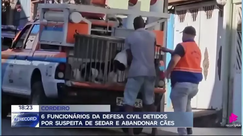 Funcionários da Defesa Civil do RJ são presos por sedar e abandonar cães: caso choca o interior