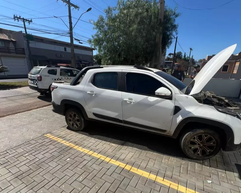 Furto de gado e maquinário em Paranapanema: mais de 20 animais e equipamentos recuperados pela polícia