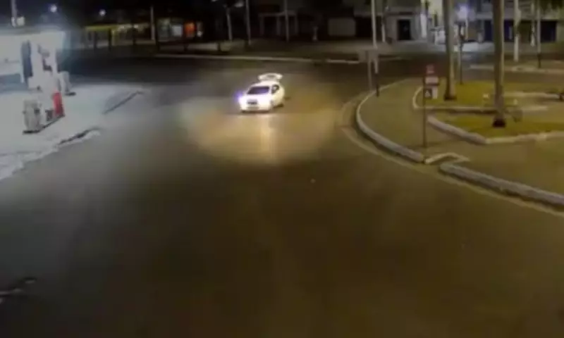 Furto de Palmeiras Jovens Revolta Feira de Santana: Beleza Urbana Sob Ataque