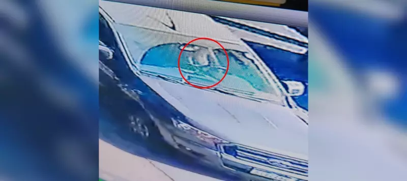 Garota de programa no colo de juiz aposentado em acidente fatal: "Tentei assumir a direção"