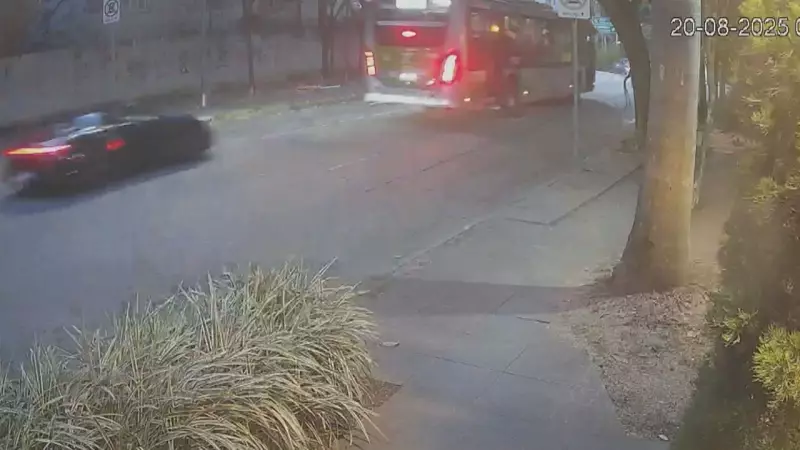 Gato Preto: Imagens Inéditas Revelam Infrações Anteriores ao Grave Acidente em SP