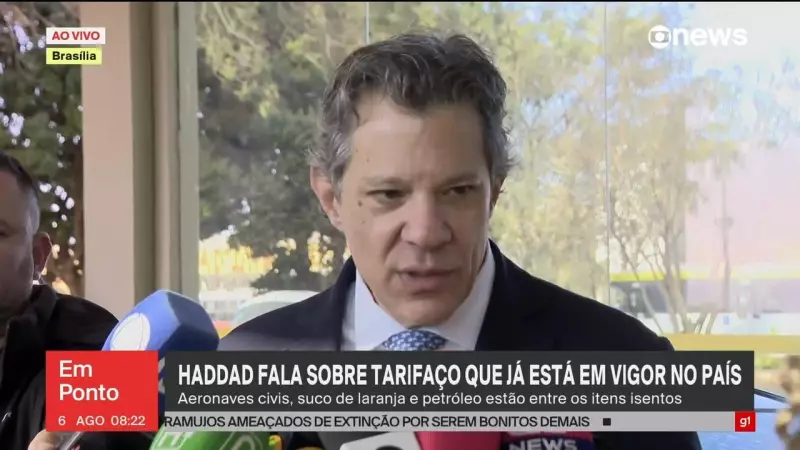 Haddad acusa oposição de frear desenvolvimento do Brasil — veja os detalhes