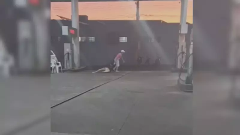 Homem é detido após agredir companheira em posto de combustível — cenas chocantes viralizam