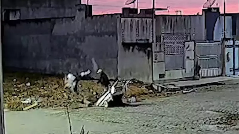 Homem é preso após cometer crueldade extrema contra cachorro em Itabaiana — caso choca moradores