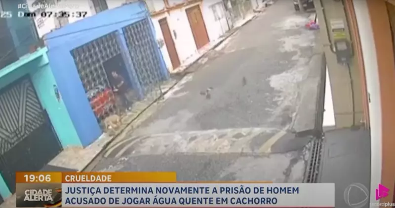 Homem é preso após jogar água fervente em cachorro — Crueldade animal tem consequências