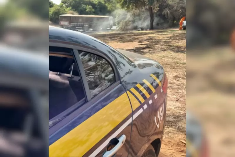 Homem é preso por causar incêndios criminosos de 2 km em margens da BR-153 em Rio Preto