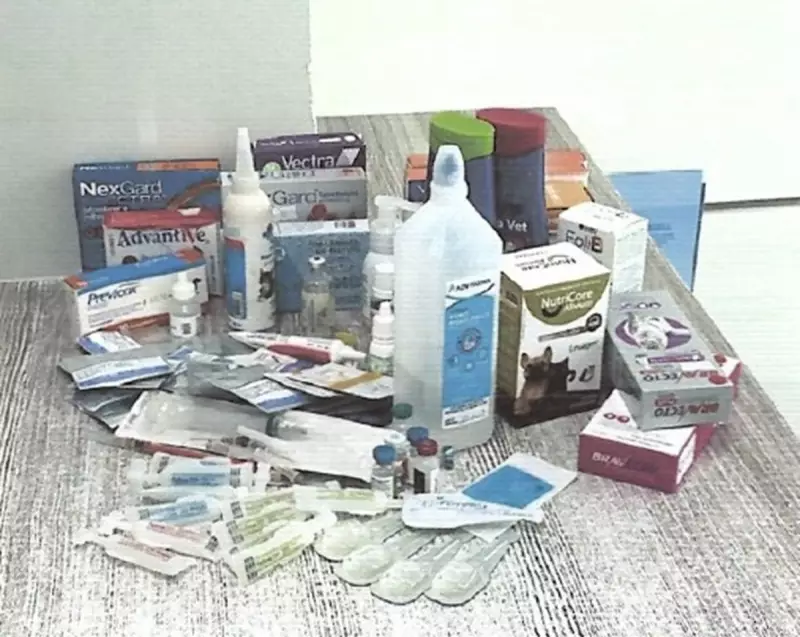 Hospital Veterinário em Blumenau é Flagrado com Ração e Remédios Vencidos: Dono Indicado por Crime Ambiental