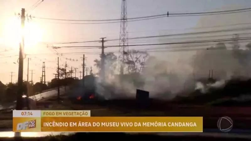 Incêndio ameaça área verde do Museu Vivo da Memória Candanga no DF — veja imagens chocantes