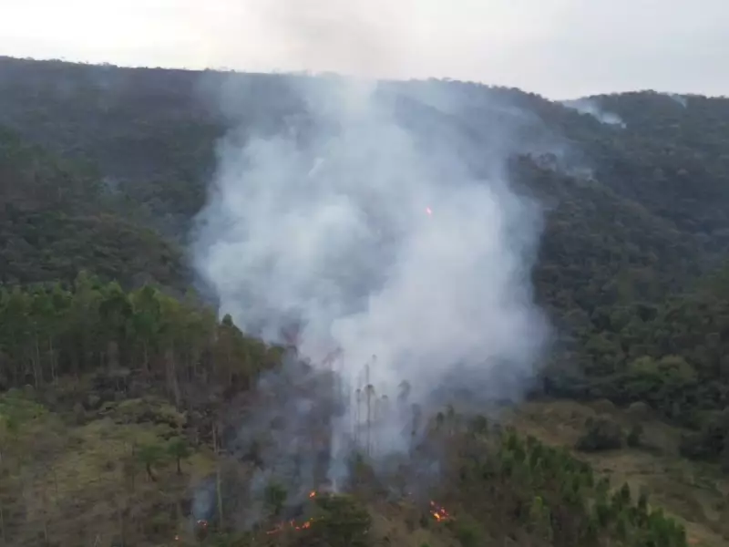 Incêndio de Grandes Proporções Ameaça Rodovia em Amparo e Mobiliza Bombeiros — Veja Vídeo!