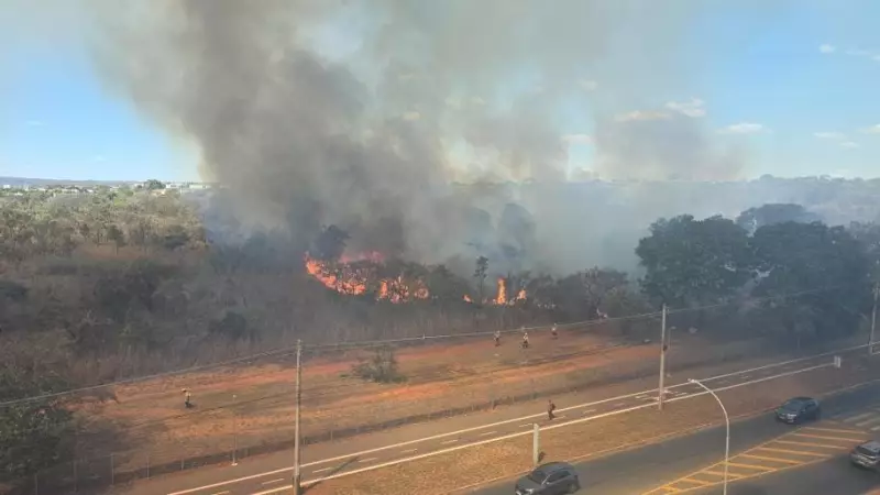 Incêndio de grandes proporções atinge mata do Parque Burle Marx, no Noroeste do DF; veja imagens impressionantes