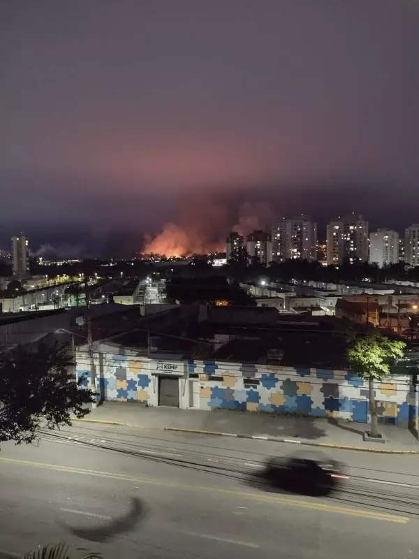 Incêndio de grandes proporções devasta área de mata em Mogi das Cruzes — Bombeiros lutam contra as chamas