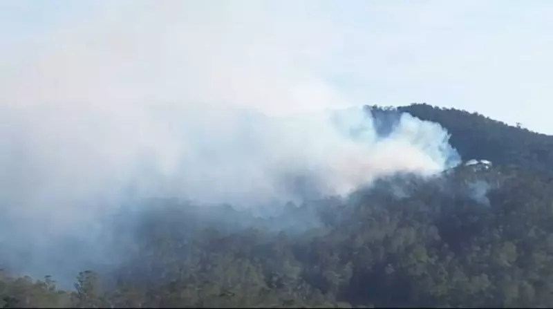 Incêndio de Grandes Proporções Devasta Serra do Itapeti em Mogi das Cruzes — Saiba Tudo
