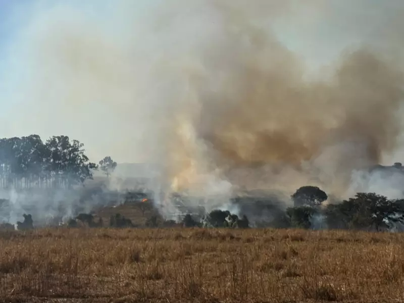 Incêndio devasta pastagem em propriedade rural de São José do Rio Preto — veja imagens