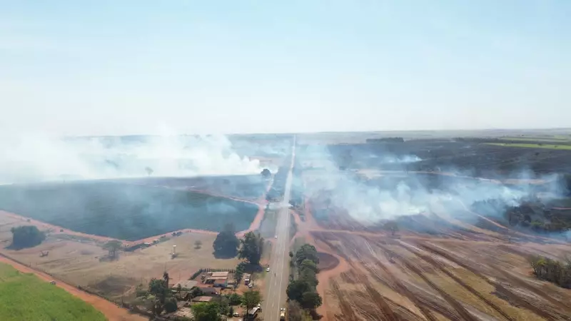 Incêndio Devastador Consome Canavial e Mata Nativa em Santa Albertina: Fogo Avança sem Controle