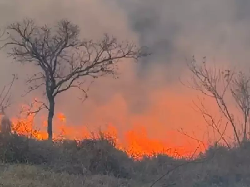 Incêndio em Jaguariúna: Bombeiros controlam chamas e moradores retornam às casas após evacuação