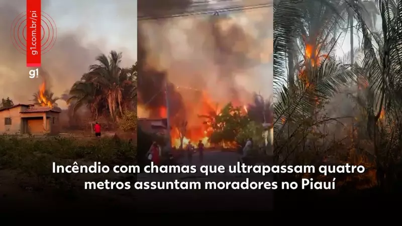 Incêndio Florestal no Piauí: Chamas de 4 Metros Aterrorizam População e Mobilizam Bombeiros