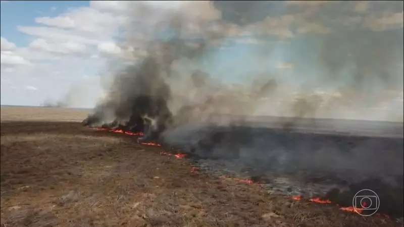 Incêndio florestal no Piauí já dura oito dias e desafia bombeiros em combate intenso