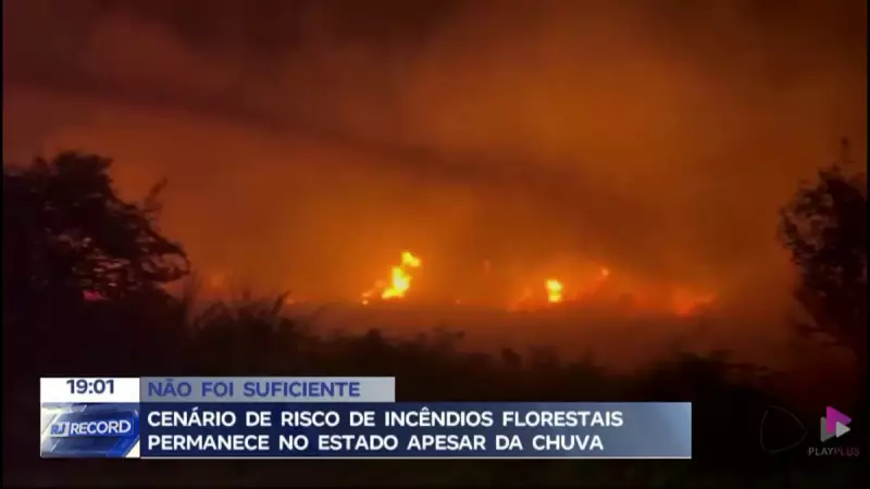 Incêndios florestais assustam o interior do RJ: veja as áreas mais afetadas e como se proteger