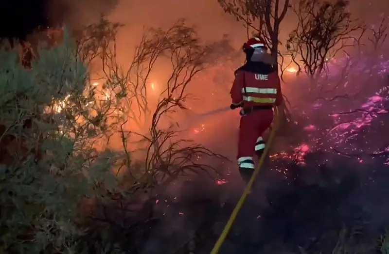 Incêndios florestais no norte da Espanha forçam evacuação de mais de mil pessoas — situação crítica
