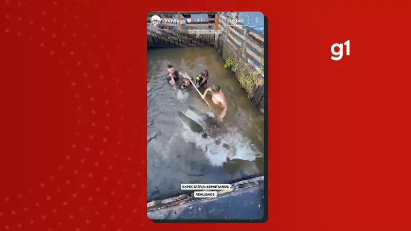 Influenciador Jon Vlogs causa polêmica ao pular em viveiro de peixes para pescar pirarucu em Manaus