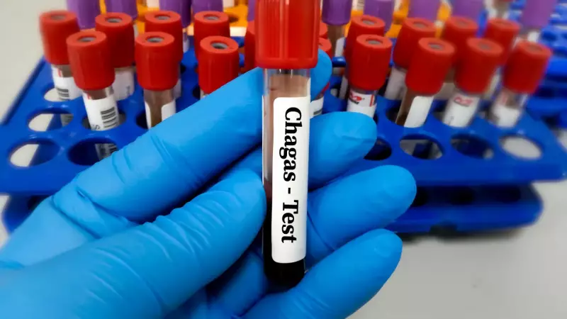 Inovação no combate à doença de Chagas: tratamento chega perto de casa
