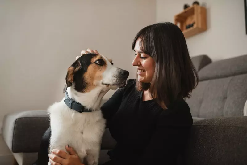 Inteligência Artificial Decifra Emoções Animais: O Que Nossos Irmãos de Outras Espécies Realmente Sentem?