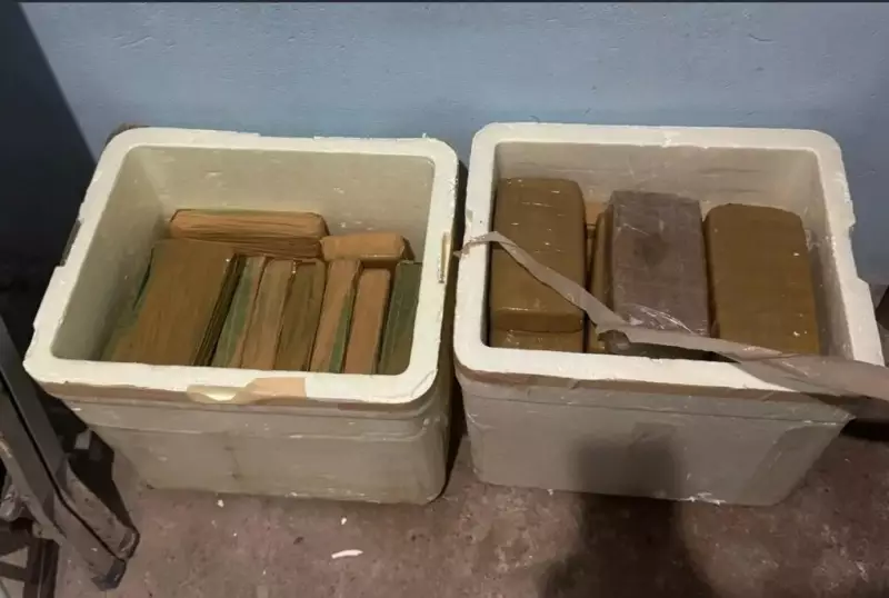 Irmãos são flagrados com 41 tabletes de oxi escondidos em caixas de isopor em Castanhal