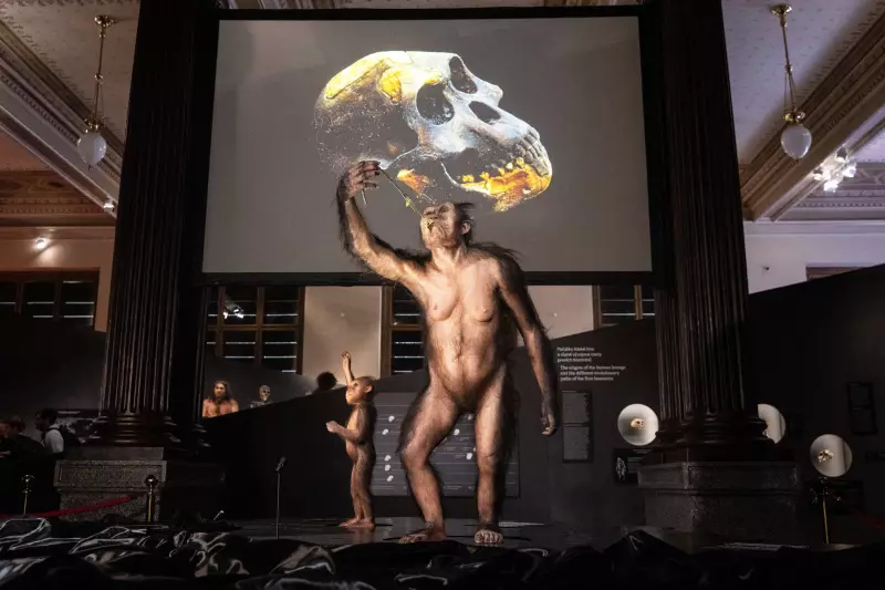 Lucy, a Mãe da Humanidade, Chega à Europa: Fóssil de 3.18 Milhões de Anos Embalado para Viagem Histórica