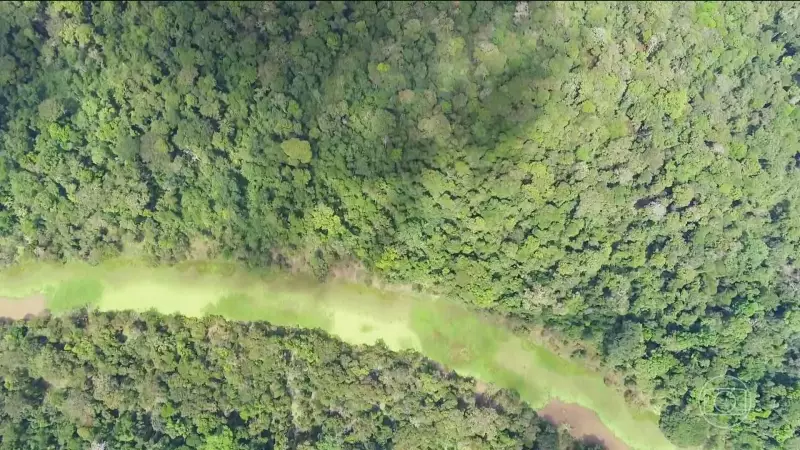 Lula sanciona lei que muda regras do licenciamento ambiental: veja o que muda