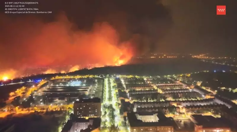 Madri em chamas: incêndios florestais assustam e deixam rastro de destruição na Espanha