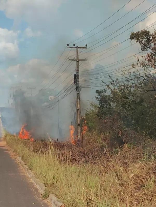 Maranhão em Chamas: Estado assume triste 2º lugar nacional em queimadas, aponta INPE