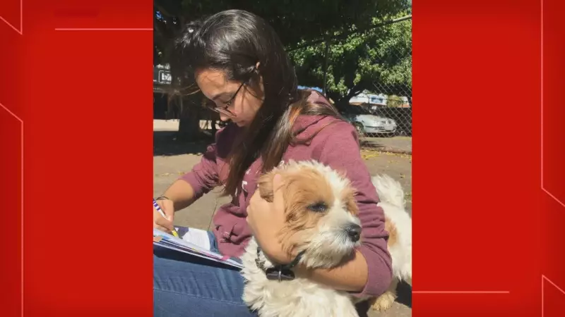 Maria Clara: A Jovem que Inspirou uma Praça em Taguatinga e Deixou um Legado de Coragem