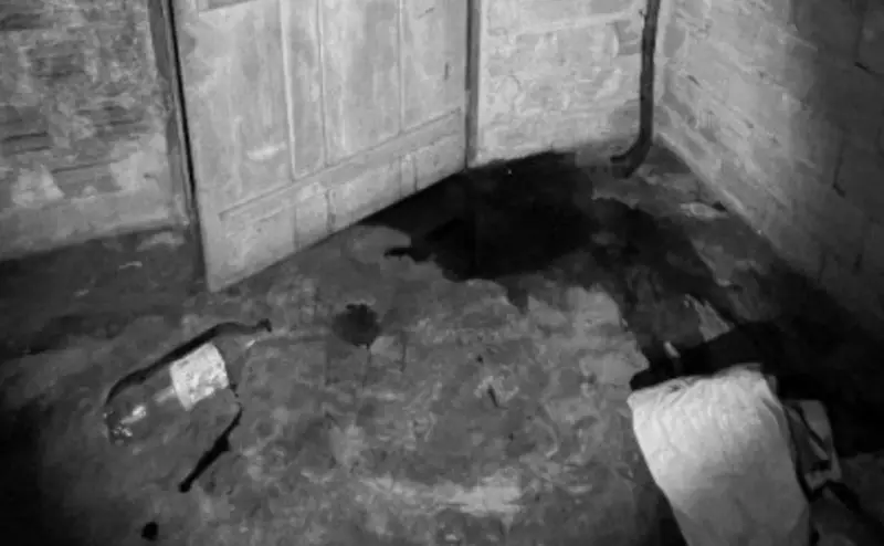 Marido é principal suspeito de assassinar esposa a tiros na frente do filho de 8 anos no Tocantins