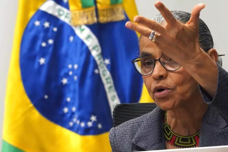 Marina Silva rebate vetos ao PL de licenciamento ambiental: 'Economia não pode brigar com a natureza'