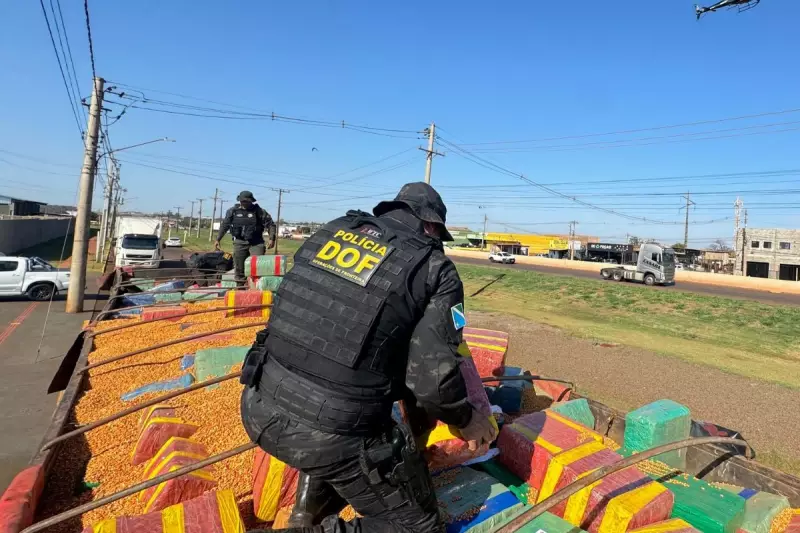 Megaoperação em MS: 15 toneladas de maconha escondidas em carga de milho — veja detalhes