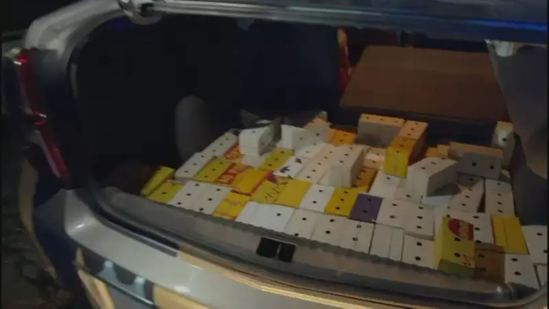 Megaoperação no RJ: Dupla é flagrada com 90 aves silvestres escondidas no carro — veja os detalhes!