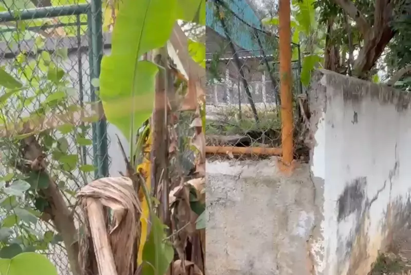 Menina de 7 anos escapa por brecha em muro de escola em Sorocaba: família exige respostas