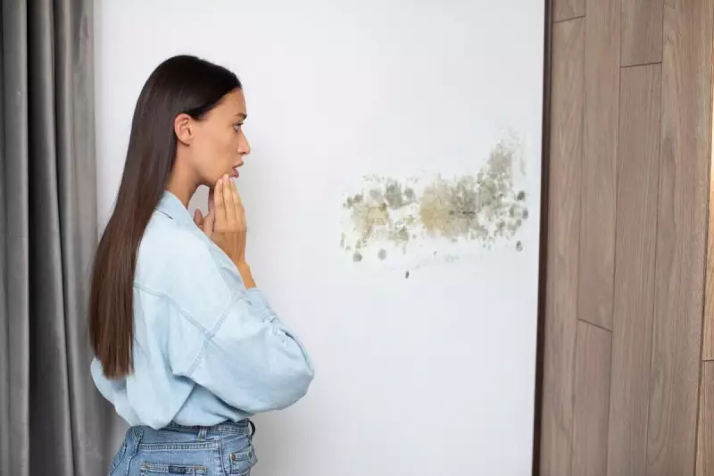 Mofo no inverno: descubra como identificar e evitar esse inimigo silencioso em sua casa