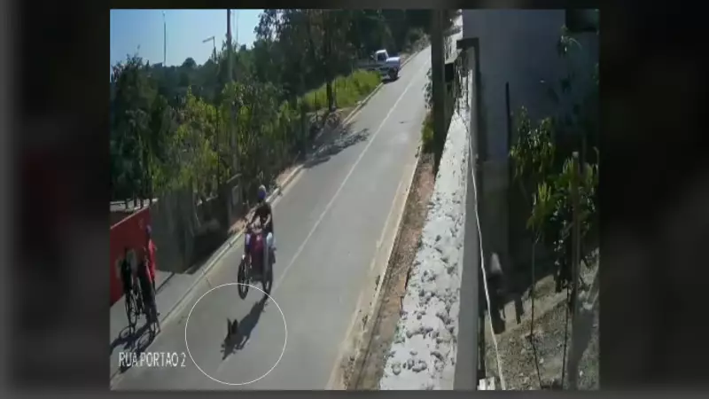 Motociclista é indiciado por maus-tratos após atropelar e matar cachorro ao empinar moto em Jundiaí