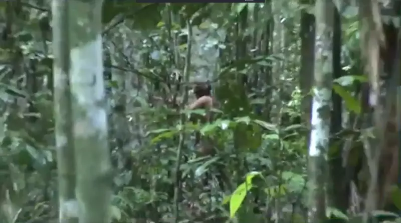 O último guardião da floresta: a história comovente do indígena que resiste sozinho