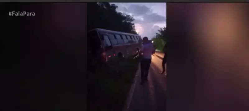 Ônibus despenca em manguezal no Pará: passageiros escapam ilesos, mas susto foi grande