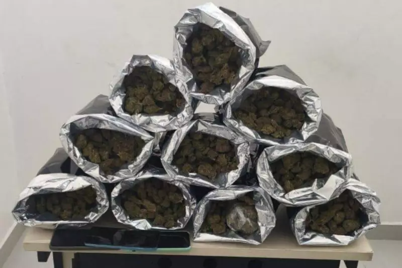 Operação da PM apreende drogas avaliadas em R$ 60 mil na Bahia — veja detalhes