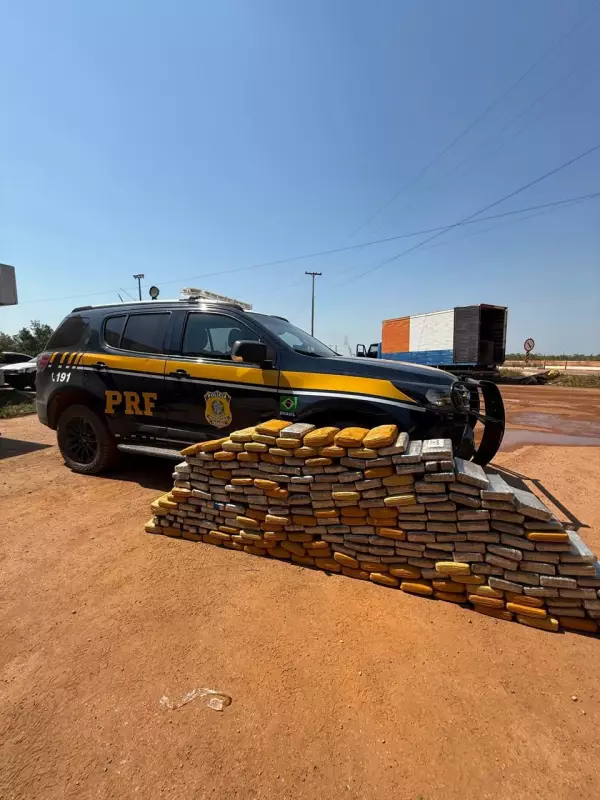 Operação da PRF apreende 223 kg de maconha skunk em caminhão de mudança na BR-319, no Amazonas
