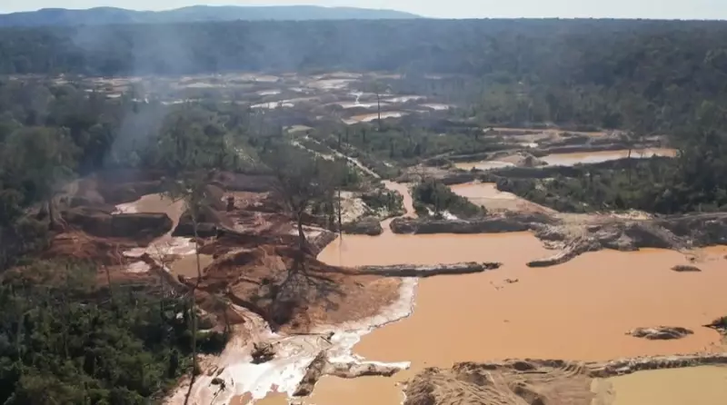 Operação de Guerra: Força-Tarefa Desmantela Garimpo Ilegal em Terra Indígena mais Devastada do Brasil