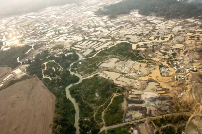 Operação desmantela esquema ilegal de ouro e pedras preciosas em terra indígena de Mato Grosso