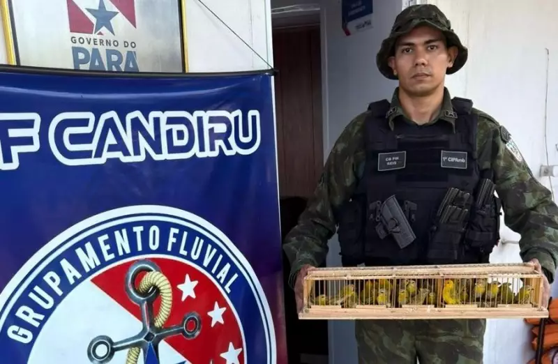 Operação resgata mais de 200 pássaros escondidos em sacos de lixo em embarcação no Pará